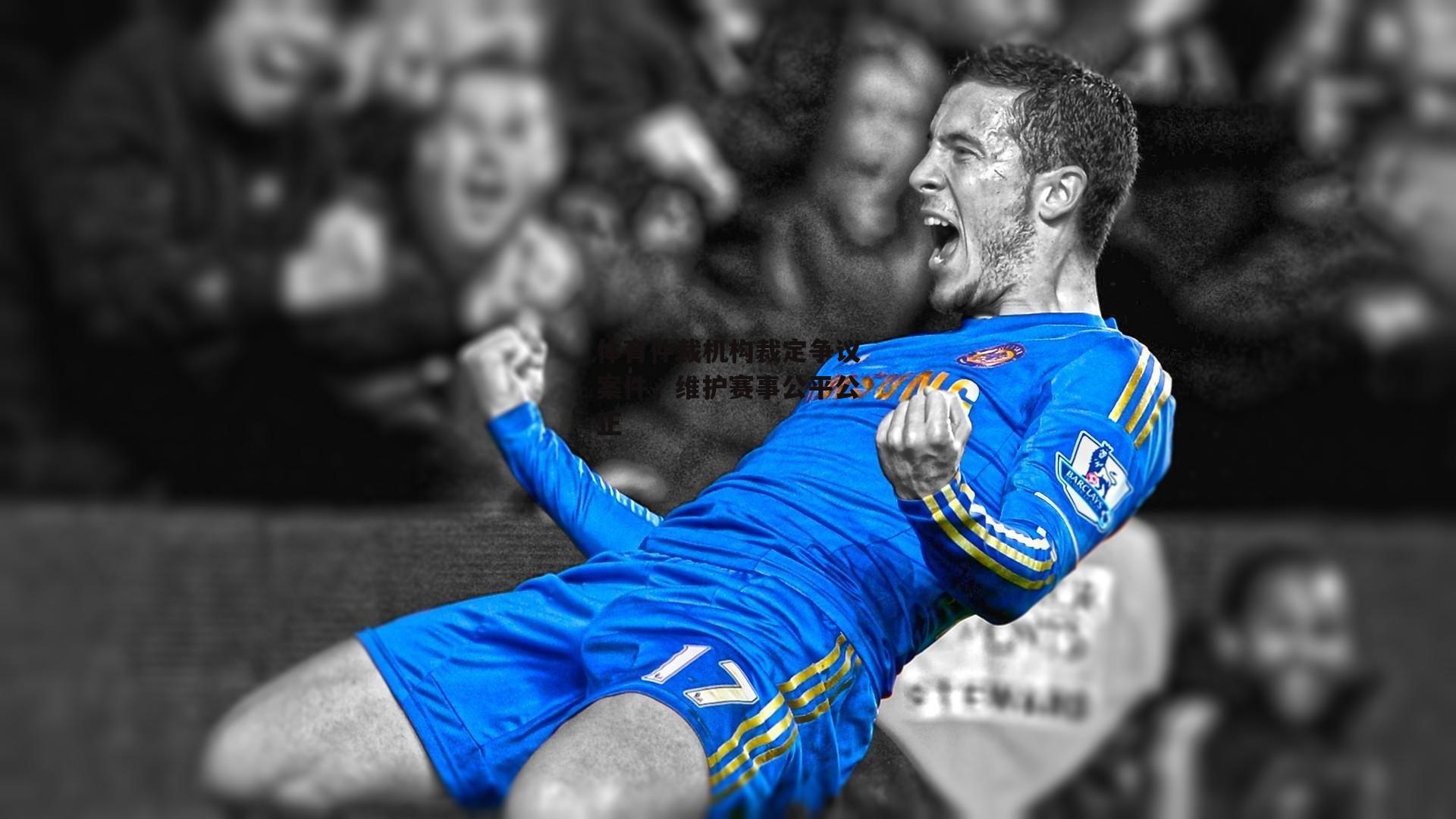 体育仲裁机构裁定争议案件，维护赛事公平公正