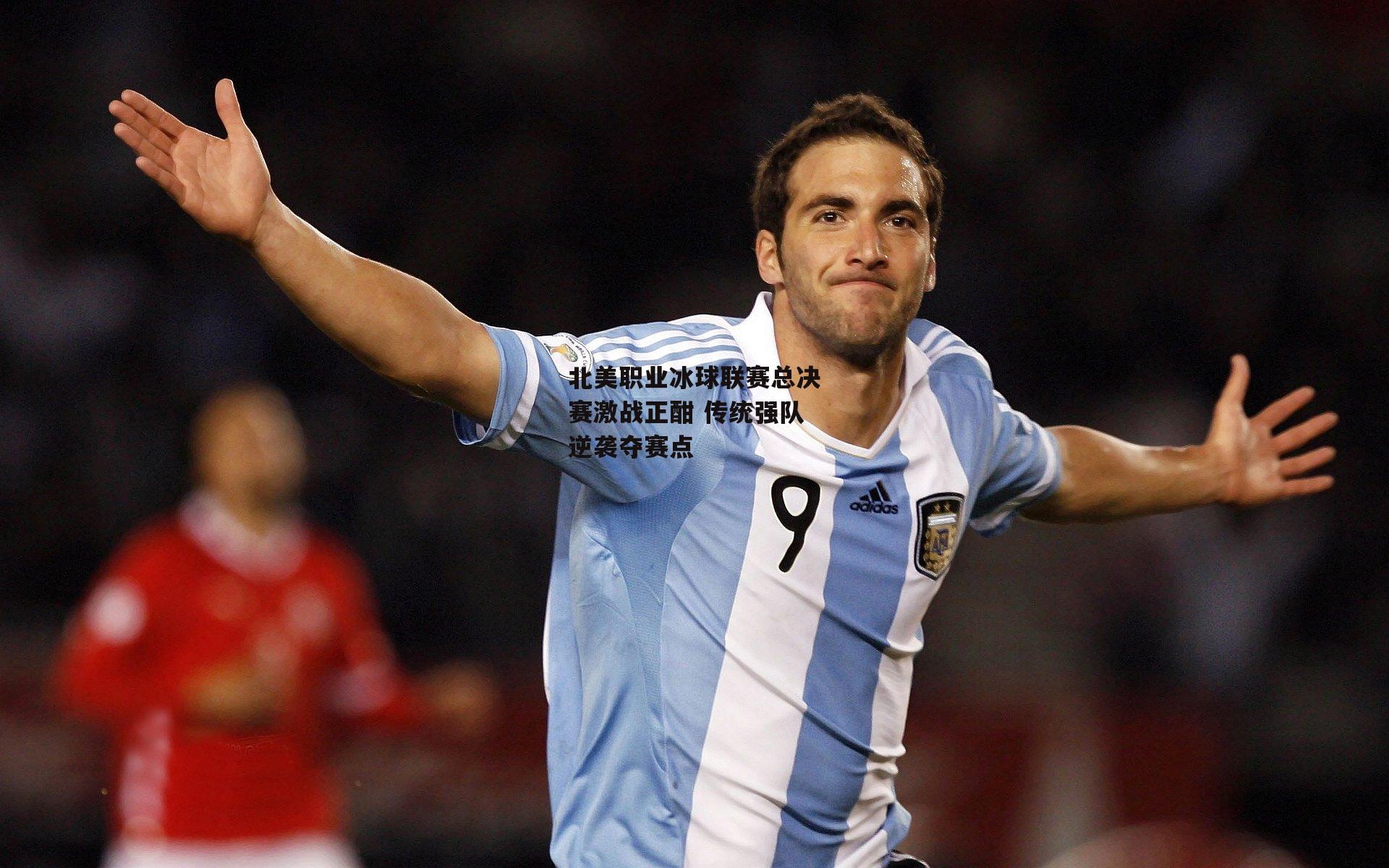 北美职业冰球联赛总决赛激战正酣 传统强队逆袭夺赛点